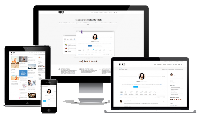 Responsive Website